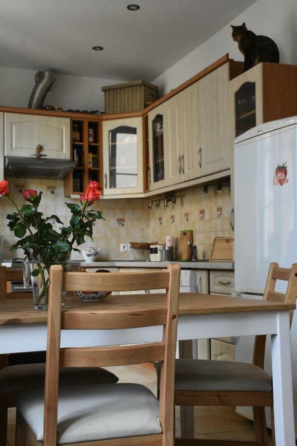 Apartament Rynek 11B Opole Exterior foto